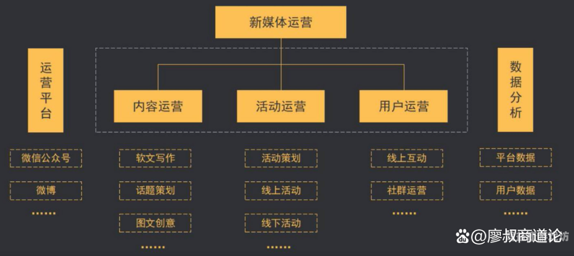平台哪个好平台哪个好，深度剖析当前热门自媒体平台优势与特点