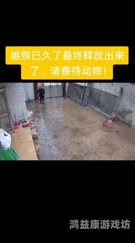 老牛精品久久久久久中文探索老牛精品，久久久久久中文的奥秘与魅力