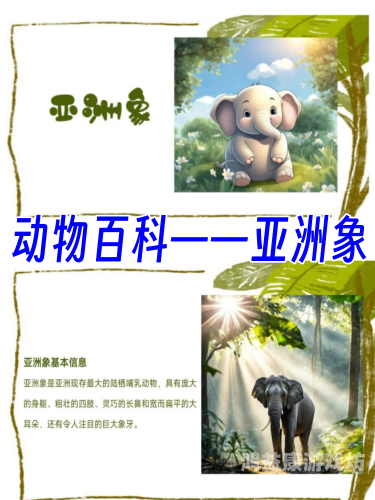 网络无界，文化共融——探索亚洲与欧美在线互动新趋势亚洲不限卡