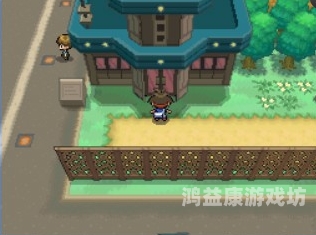 口袋妖怪黑白二周目图文攻略，深入探索、挑战与收集之旅口袋妖怪黑白二周目攻略图文攻略