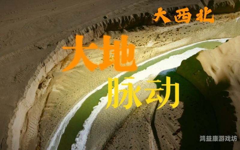 无人区高清国语完整版免费无人区，荒漠中的人性与命运较量