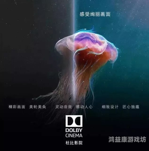 免费看亚洲片免费看亚洲片，探索多元文化的影视魅力与观影新选择