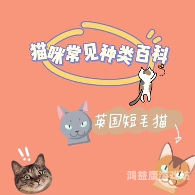 资源猫资源猫，影视爱好者的宝藏平台