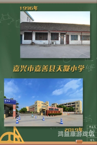 学生登录注册入口，开启数字化教育新时代的关键之门学生登录注册入口手机版