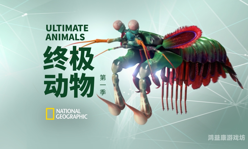 国产无矿码大象永久国产无矿码大象永久——国货之光的崛起