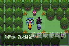 口袋妖怪黑白攻略，从新手到高手的全面冒险指南口袋妖怪黑白攻略图文二周目