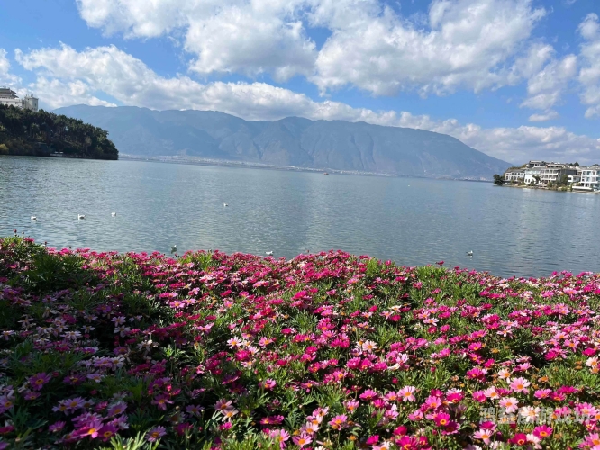 大理，风花雪月，人间仙境之旅攻略大理攻略必去的地方