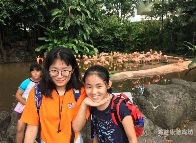 欧美v日韩v亚洲v最新在线欧美、日韩与亚洲最新动态对比，探索多元文化的魅力