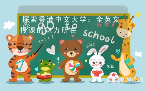 中文版中文版的魅力与影响，跨文化视角下的中文传播