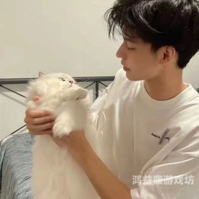 男人的好，探寻男性品质的独特魅力与价值男人的好免费观看直播,蜗居免费高清在线观看完整版