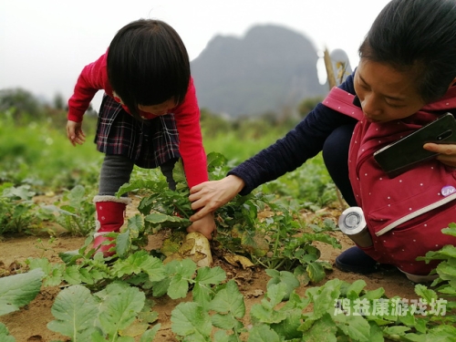 探秘拔萝卜高清无删减版，一场视觉与情感的双重盛宴免费观看萝卜大全电视剧