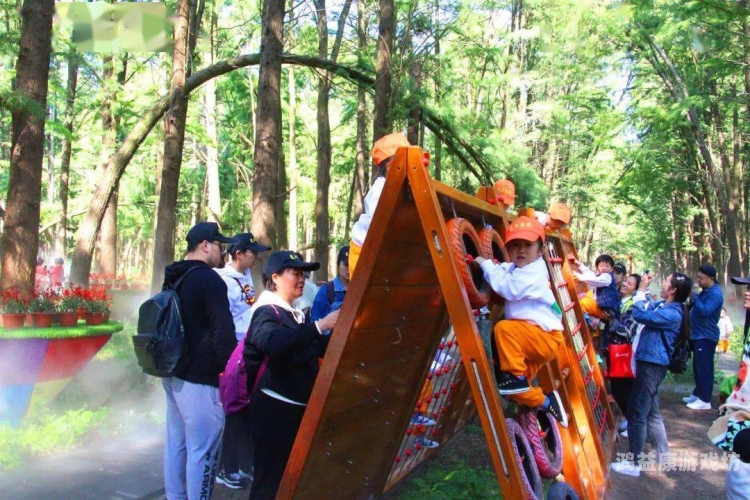 野花之美，探索自然的绚烂画卷野花高清在线电影观看免费视频,2012年神马影院手机版
