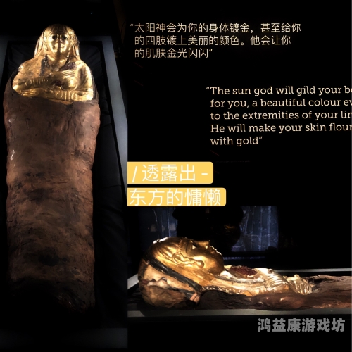 神话永生，探索人类对不朽的追求与文化影响神话永生的动物