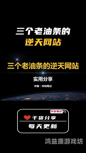 网站，互联网时代的信息枢纽与多元价值探索网站在线观看你应该知道我说的意思吧