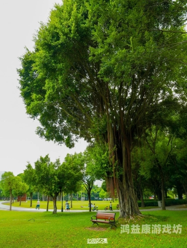 亚洲免费一区亚洲免费一区，探索文化多样性的数字绿洲