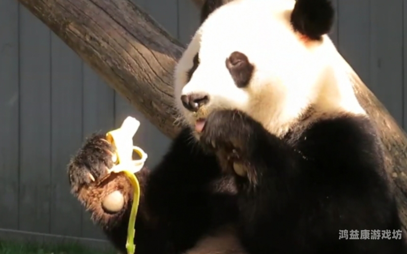久久人人青草97香蕉探索自然之宝，久久青草与97香蕉的绿色奇迹