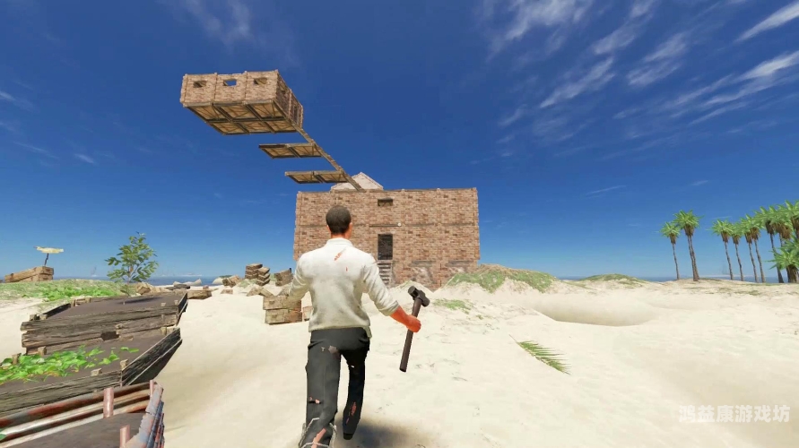 荒岛生存，一场极限挑战下的生命奇迹探索荒岛生存手记