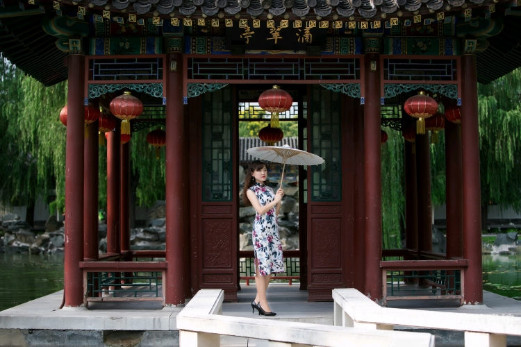 丁香五月缴情伊人丁香五月，伊人缴纳情感之赋