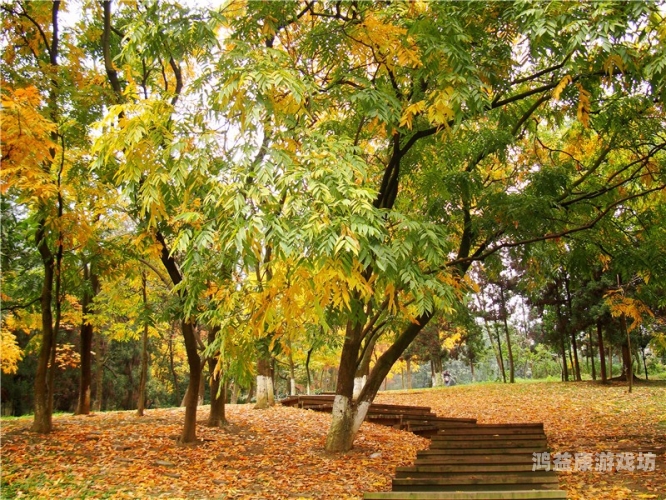 人成免费在线观看欧美探索欧美影视盛宴，免费在线观赏指南