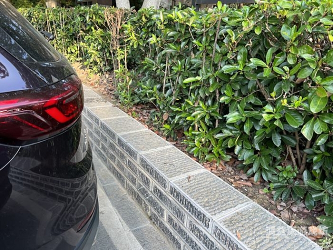 国产黑丝在线，时尚与文化的交融，探寻中国丝袜产业的发展之路亚洲尺码和欧洲尺码专线