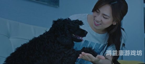 99久久精品国产片久人，中国电影市场的崛起与未来展望