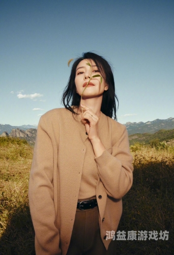 国产精品影视作品持续升温，久久久天天影视香蕉引领行业新潮流