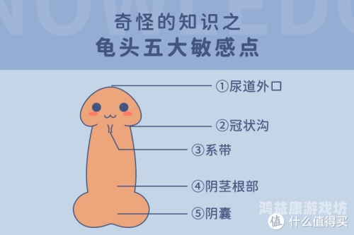 亚洲精品性视频的现状与影响，深度解析飞机杯用多了会得前列腺炎吗