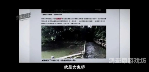 午夜精品久久久久精品，深度解析深夜经济与文化现象