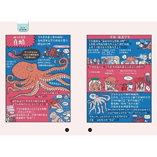 日韩二三区，文化、经济与地缘政治的深度解析中文字幕的