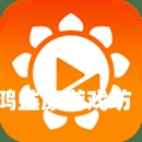 一区二区三区观看免费中文视频在线播放，全面解析与使用指南一区二区三区观看免费中文视频在线播放