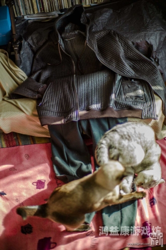 久久er99热精品一区二区，深度解析与用户体验报告亚洲尺码和欧洲尺码专线