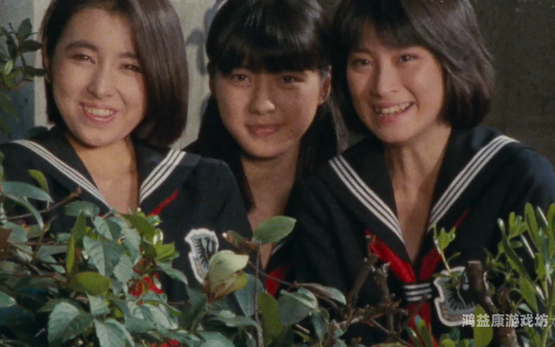 精品中文字幕一区二区三区四区，探索影视翻译的奥秘与价值