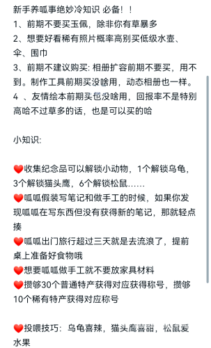 旅行青蛙攻略中文，让你的蛙类朋友成为旅行达人