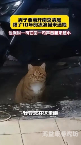 男子时隔6年回老家，发现老猫仍在守家，感人至深的人猫情缘男子时隔6年回老家发现老猫还在守家了