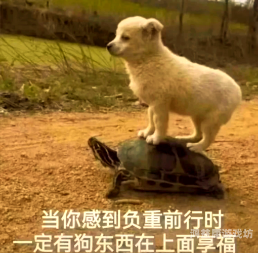 五行神诀，揭秘古代修行者掌握的神秘力量五行神诀 小说