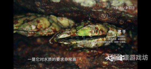 大地资源影视免费观看，探索视觉盛宴的无尽可能