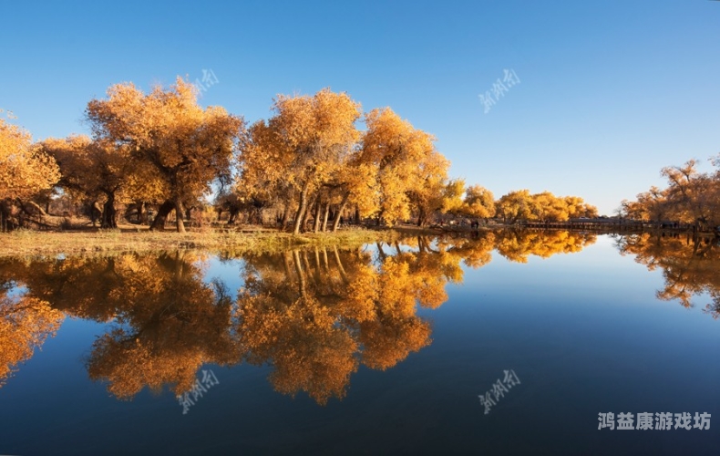 大地资源影视免费观看，探索视觉盛宴的无尽可能