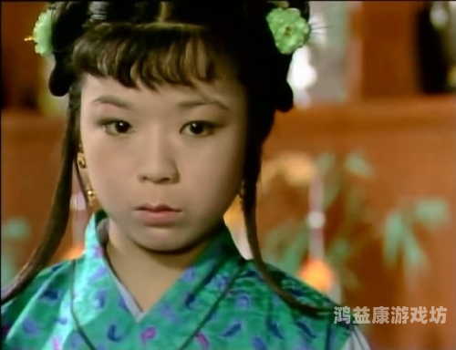 第九个寡妇热播剧集深度解析，女性命运的缩影与社会变迁的见证