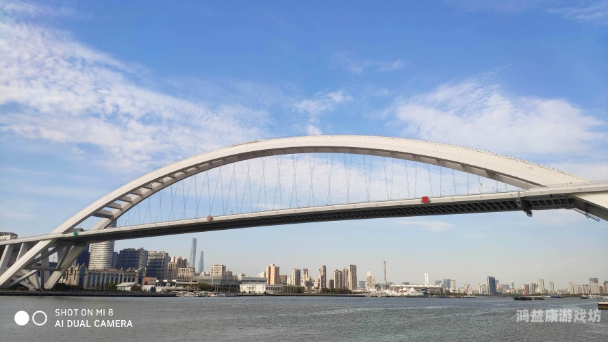 网，现代生活的数字桥梁网名