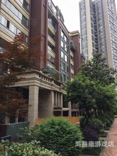 久久综合一区二区，深度解析与未来发展展望