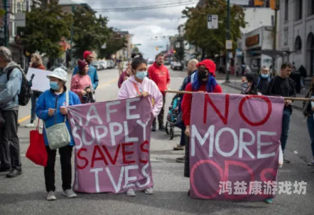 av免费在线观看的网址，安全与合法性的全面解析