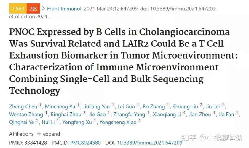 AV中文字幕一区二区三区，深入解析与行业现状