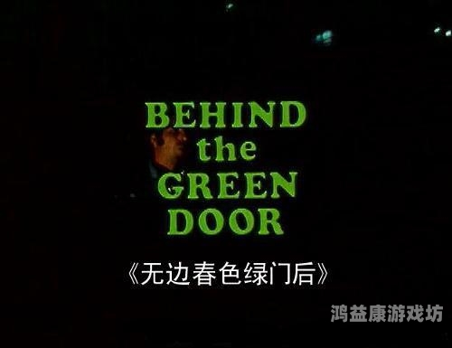 久久精品一区二区电影深喉，经典之作的艺术魅力与时代意义