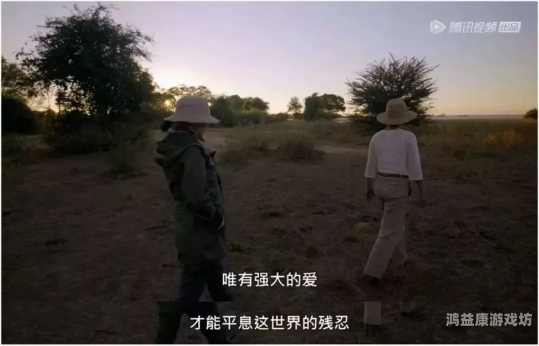 久久国产视频一本，探索国产影视的崛起与发展