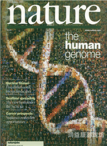 日本中文字幕永久免费，文化传播的新里程碑中日高清中文字