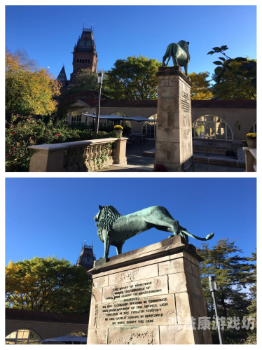 探索欧美高清自拍与图片区的魅力，艺术、文化与社交的交汇点欧美图片 清新 简约