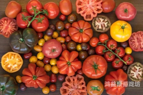 全球首个可食用西红柿基因编辑研究成果发布，揭示其独特营养价值与潜在应用potato下载入口