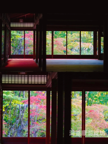 探索久久久久久久久性潮，一场文化与情感的深度碰撞久久久久久久旭