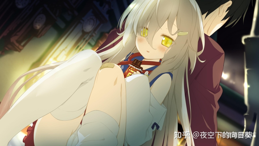 樱花动漫免费登录入口今日知乎