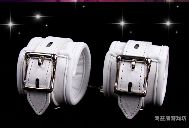 激情成人动漫无码一区不卡，探索成人动漫的世界